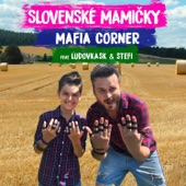 Slovenské Mamičky (feat. Ludovka SK & Stefi) artwork