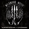 Wildwood Music - Take the Wings (Live)