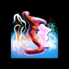 zeta - Cloud Sculptors of Coral D