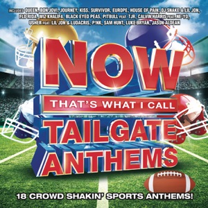 NOW That's What I Call Tailgate Anthems
