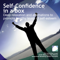 Annie Lawler - Self Confidence in a box artwork