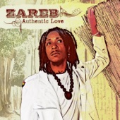 Zareb - What a World It Woud Be