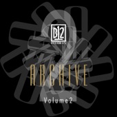 B12 Records Archive, Vol. 2 artwork