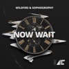 Now Wait - Single