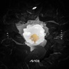 AVĪCI (01) - EP, 2017