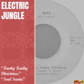 Funky Funky Christmas artwork
