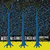 Singular Awakening (with Art Lande & Steve Swallow) album lyrics, reviews, download
