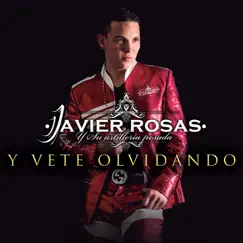 Y Vete Olvidando Song Lyrics