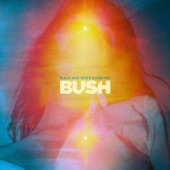 Black and White Rainbows cover