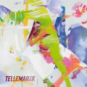 Tellemarkk artwork