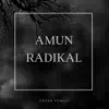 Radikal - Single album lyrics, reviews, download
