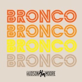 Bronco artwork