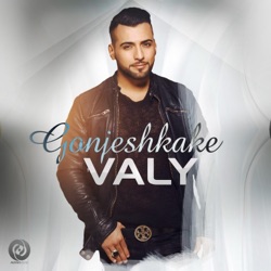 Valy - Gonjeshkake
