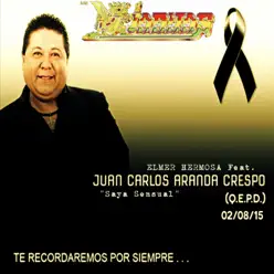 Saya Sensual (with Juan Carlos Aranda Crespo) [feat. Elmer Hermosa] - Single - Los Kjarkas