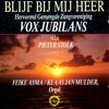 Blijf Bij Mij Heer, 1991