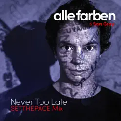 Never Too Late (SETTHEPACE Mix) - Single - Alle Farben Never Too Late (SETTHEPACE Mix) - Single - Alle Farben