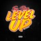 Level Up artwork