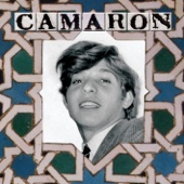 Camarón en la Venta de Vargas artwork