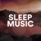 Zen Spa (feat. John Spa Williams) - Deep Sleep Pillow lyrics