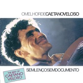 The Best of Caetano Veloso - Sem Lenço Sem Documento artwork