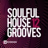 Soulful House Grooves, Vol. 12