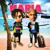 Maria (feat. $hirak) artwork