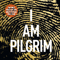 Terry Hayes - I Am Pilgrim artwork