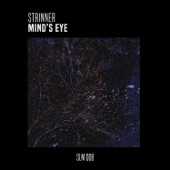 Mind's Eye (Ran Salman Remix) artwork