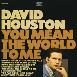 You Mean the World to Me - David Houston