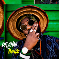 Dr. Chaii - Bongo artwork