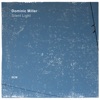 Dominic Miller - Fields of Gold