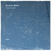 Dominic Miller - Valium