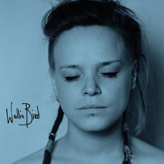 Cover artwork for Polarised