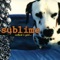 Doin' Time (feat. The Pharcyde) - Sublime lyrics