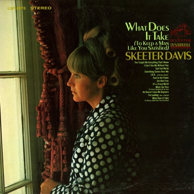 What Does It Take (To Keep a Man Like You Satisfied) - Skeeter Davis