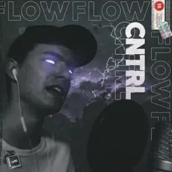 Flow - Single - Control Flow - Single - Control