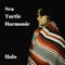 Halo - Sea Turtle Harmonic lyrics
