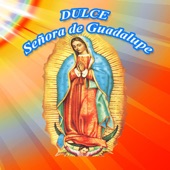 Sweet Lady of Guadalupe (English Vocal) artwork