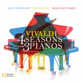 The Four Seasons, Violin Concerto in F Major, Op. 8 No. 3, RV 293 "Autumn" (Arr. M. Meštrović): I. Allegro artwork