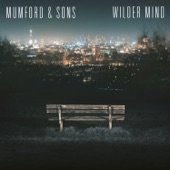 Wilder Mind (Deluxe) artwork
