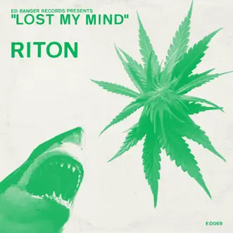 Bang Your Head by Riton song reviws