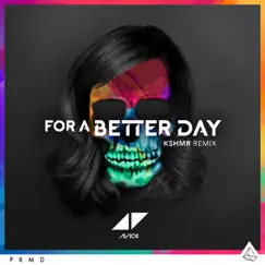 For a Better Day (KSHMR Remix) - Single by Avicii album reviews, ratings, credits