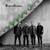 Brainstorm - Контакты