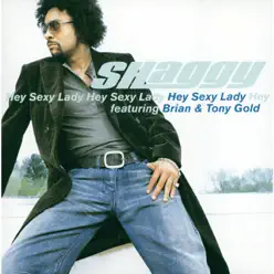 Hey Sexy Lady - Single - Shaggy