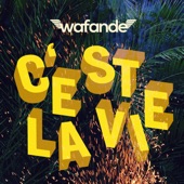 C'est la vie artwork