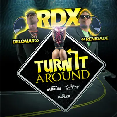 Turn It Around - Single - RDX