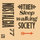The Sleepwalking Society (feat. Josa Peit) artwork