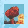 Sky Walker (feat. Travis Scott) [Niko the Kid Remix] - Single album lyrics, reviews, download