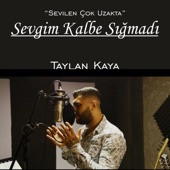 Sevgim Kalbe Sığmadı artwork