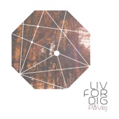 Liv For Dig - EP artwork